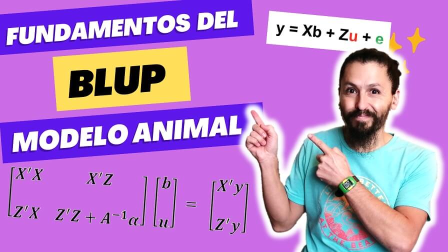 Imagen clase fundamentos del BLUP modelo animal